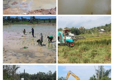 Mini Dam Pembiayaan Mandiri Untuk Mengatasi Masalah Irigasi Petani Tadah Hujan