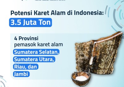 Pemerintah Dorong Hilirisasi Karet di Daerah