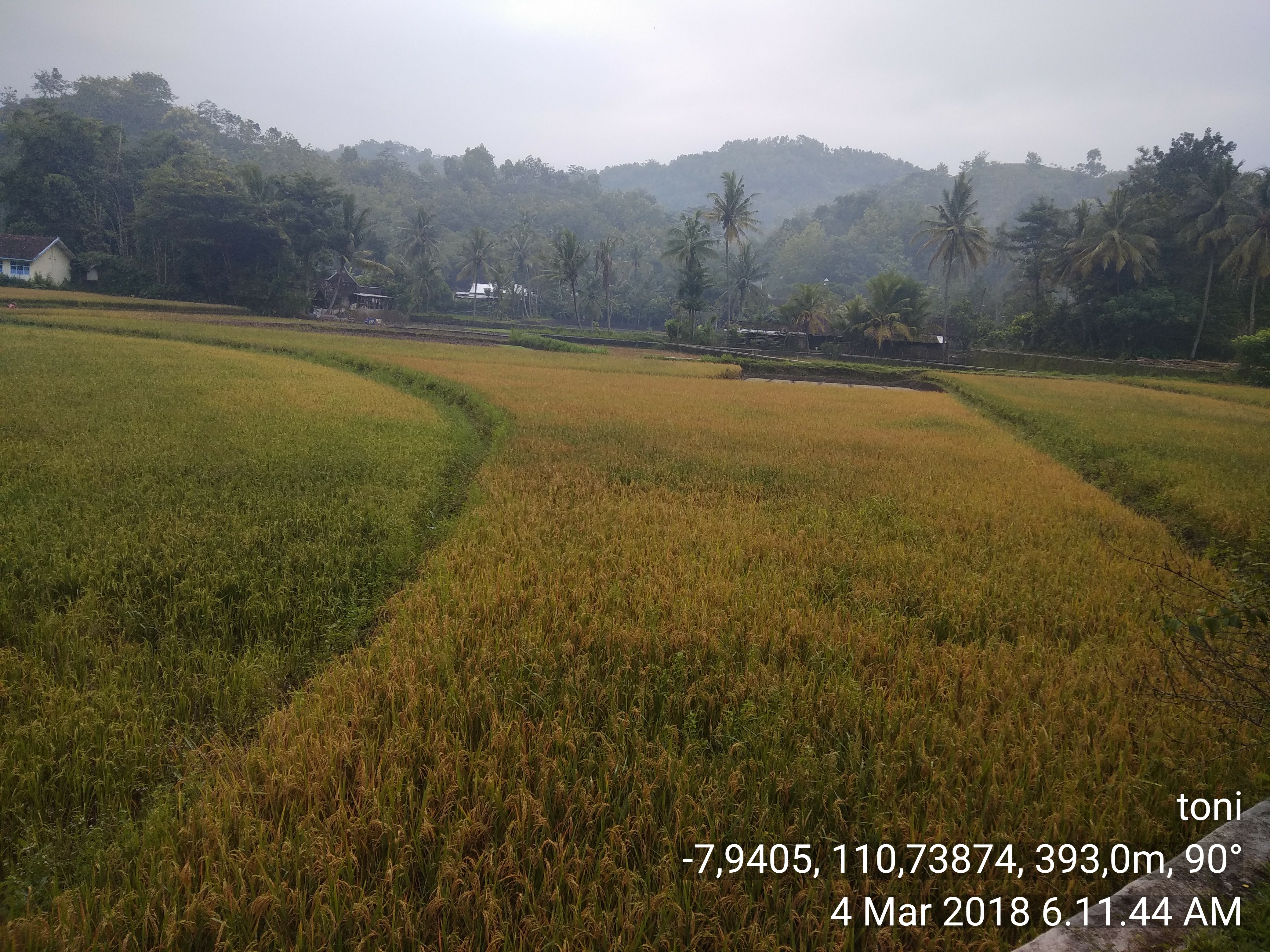 Pengembangan Kawasan Ponjong Gunungkidul Terintegrasi-Modern-Partisipatif